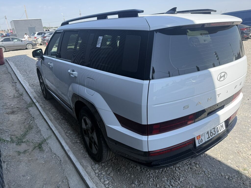 Hyundai Santa Fe: 2025 г., Кроссовер: фото 3