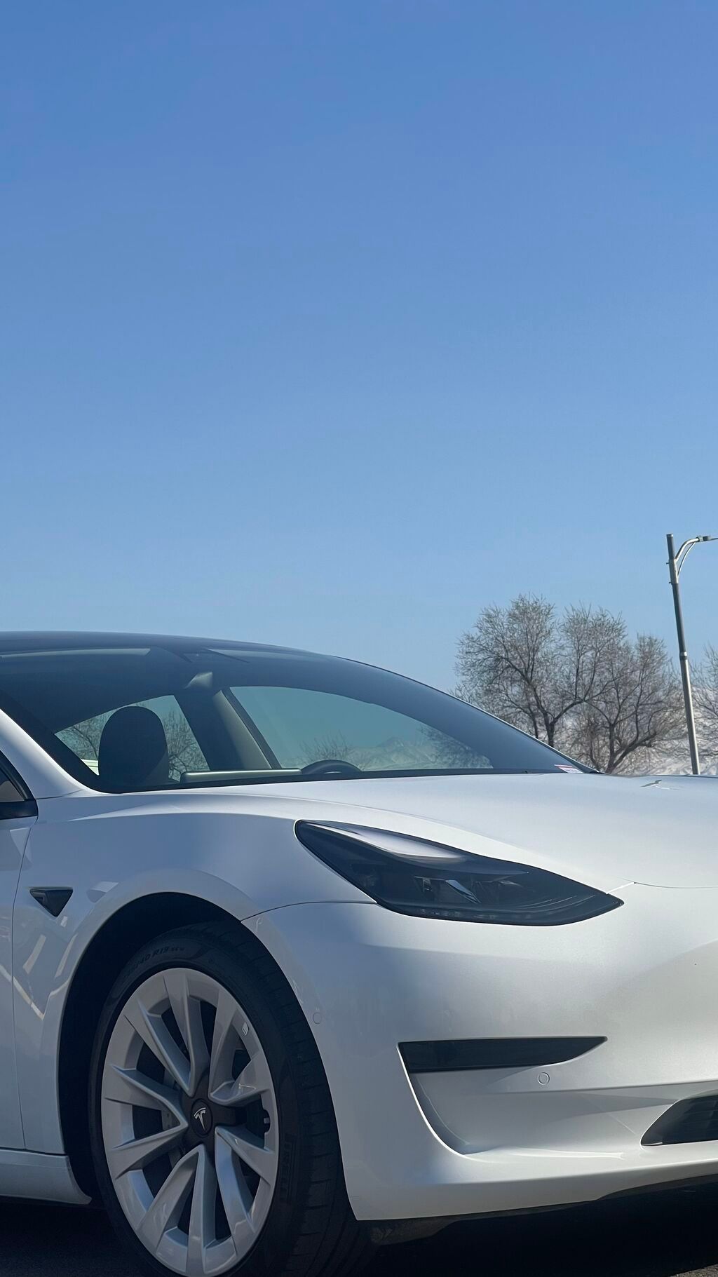 Tesla Model 3: 2021 г., Автомат, Электромобиль, Седан: фото 3