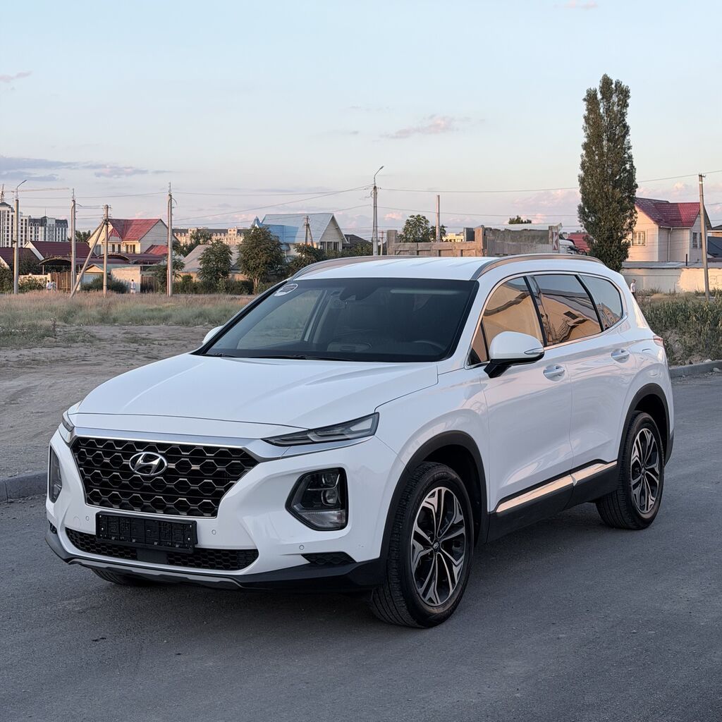 Hyundai Santa Fe: 2019 г., 2 л, Автомат, Дизель, Кроссовер — фото 1