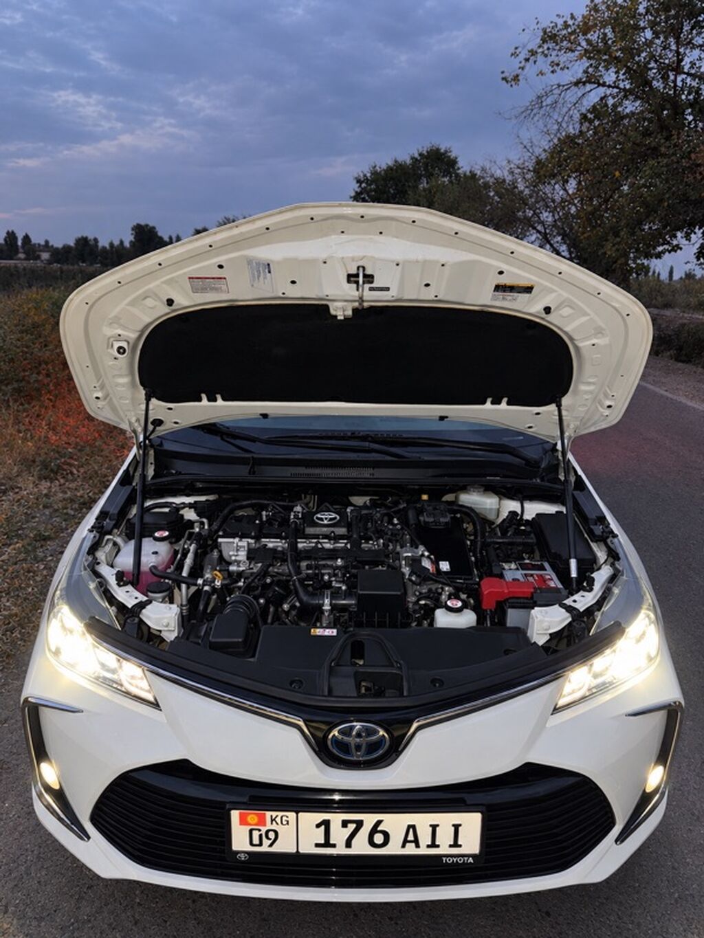 Toyota Corolla, 2021 г., 1.8 л, вариатор, гибрид, седан: фото 7