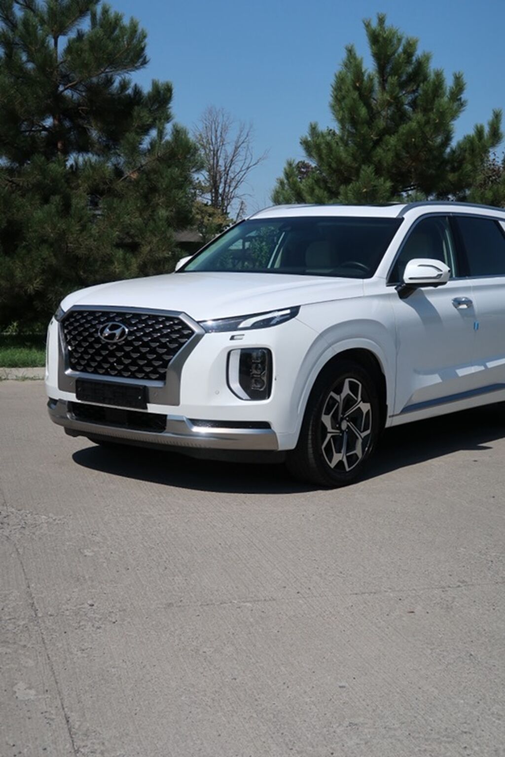 Hyundai Palisade: 2021 г., 2.2 л, Автомат, Дизель, Кроссовер: фото 7