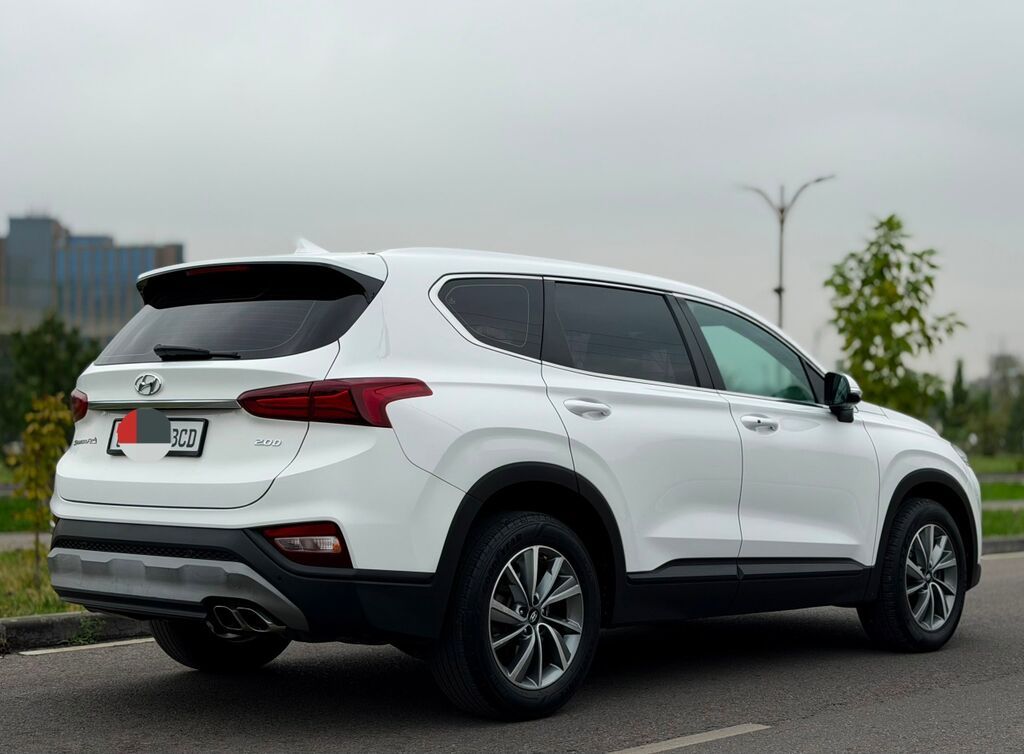 Hyundai Santa Fe: 2019 г., 2 л, Автомат, Дизель, Кроссовер: фото 6