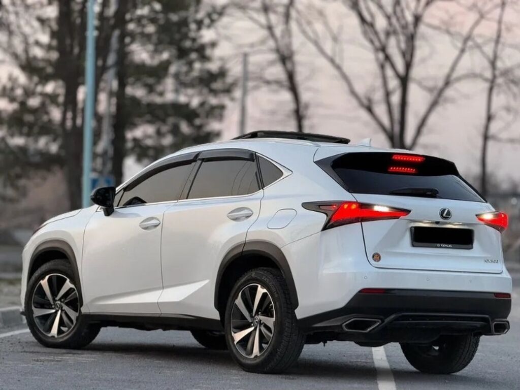 Lexus NX 300, 2018 г., белый, автомат: фото 5