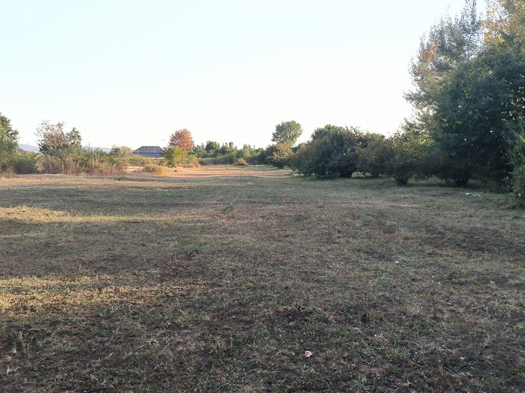 21 sot, Tikinti, Mülkiyyətçi, Kupça (Çıxarış)
