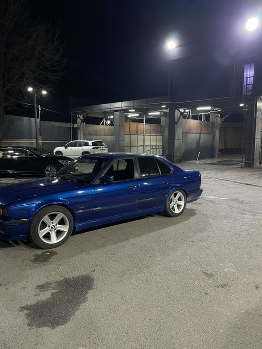 BMW 5 series: 1995 г., 2.5 л, Механика, Бензин, Седан: фото 3