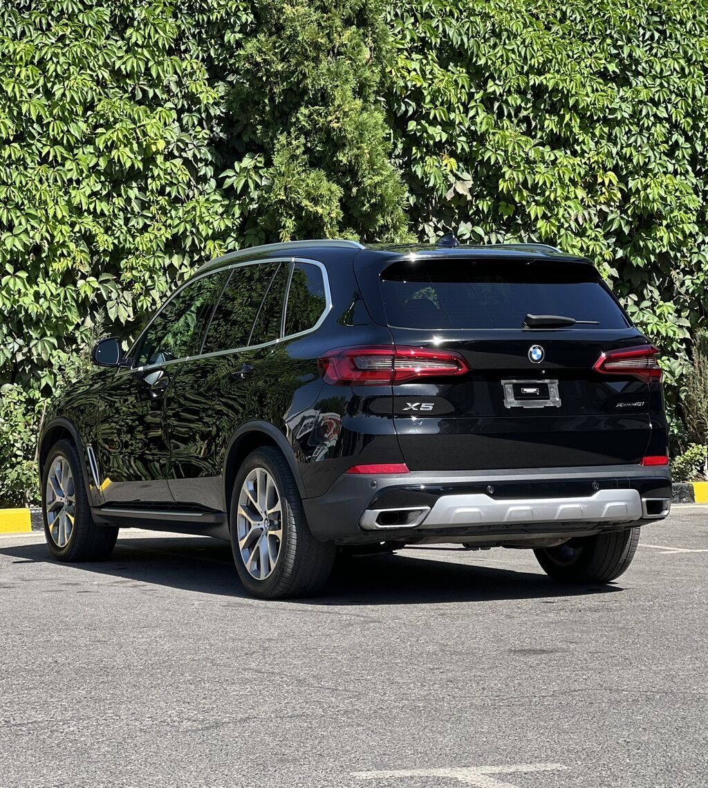 BMW X5: 2019 г., 3 л, Автомат, Бензин, Кроссовер: фото 5
