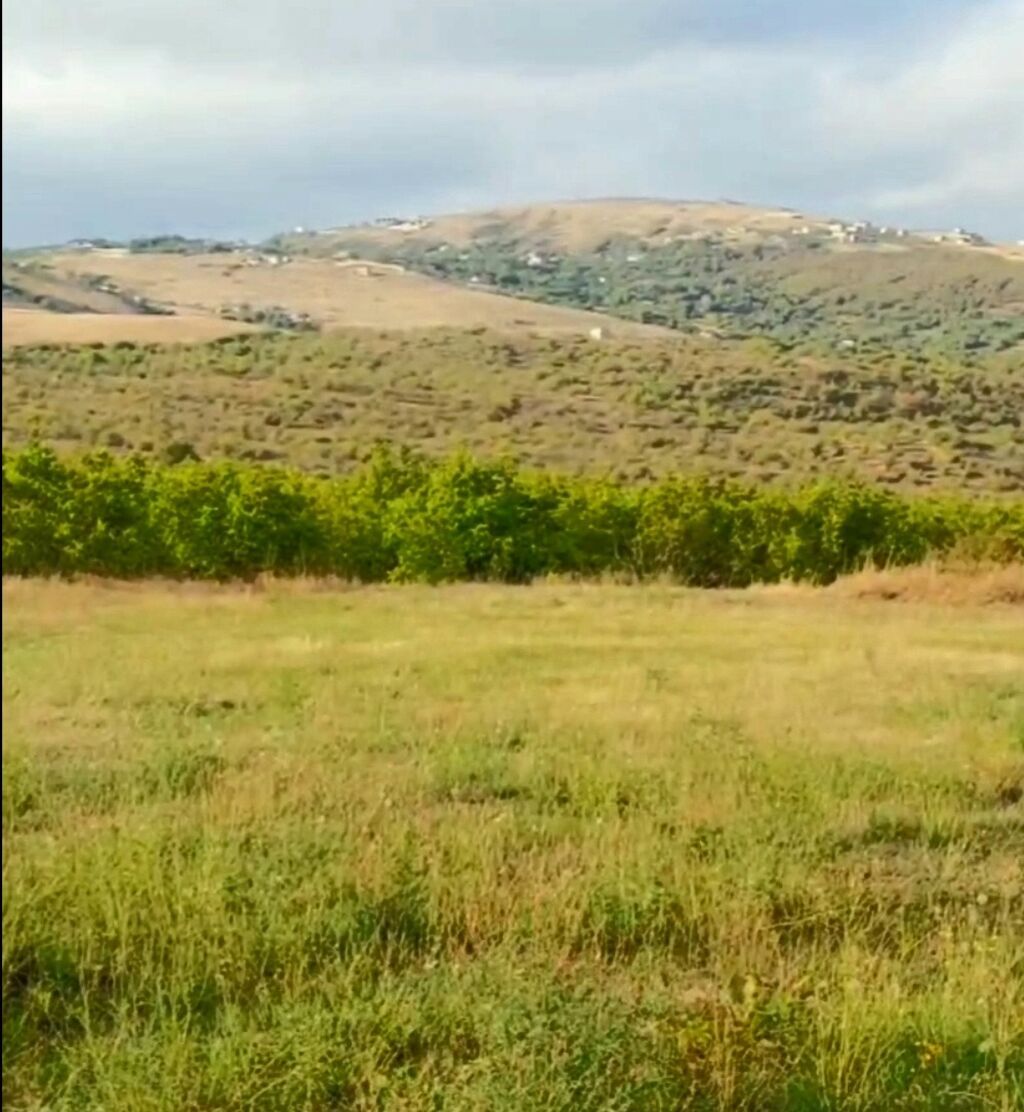 1100 sot, Tikinti, Maklerlər narahat etməsin, Kupça (Çıxarış)