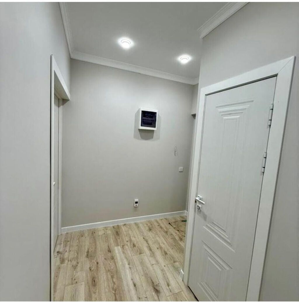 1 комната, 45 м², Ынтымак ж/м Элитка, 8 этаж, Евроремонт: фото 3