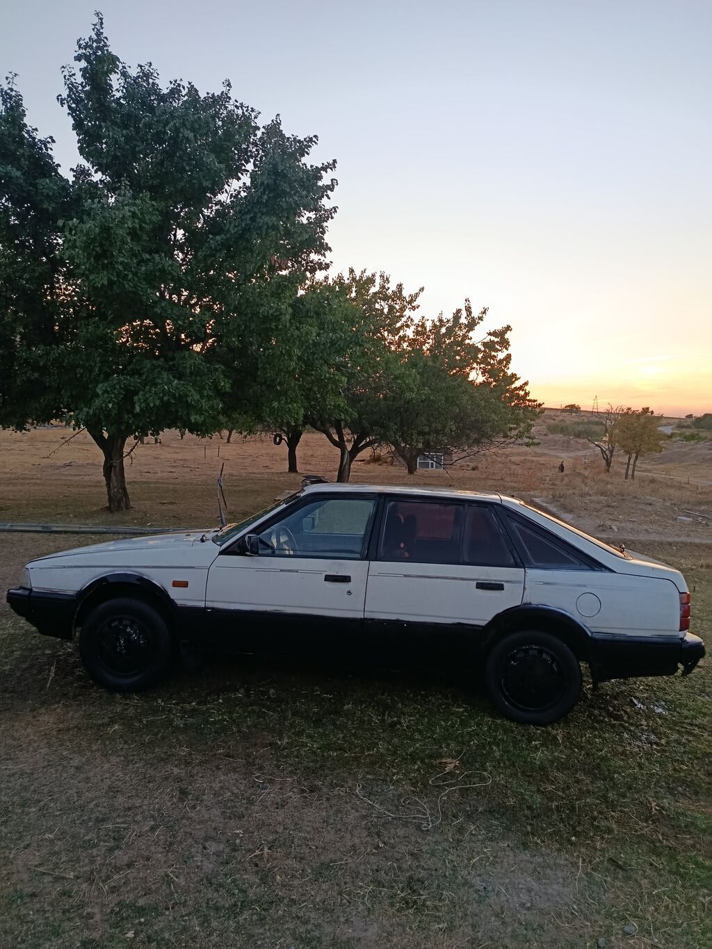 Фото 4