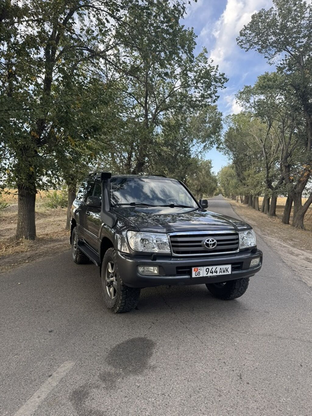 Toyota Land Cruiser: 2006 г., 4.2 л, Автомат, Дизель, Внедорожник: фото 2