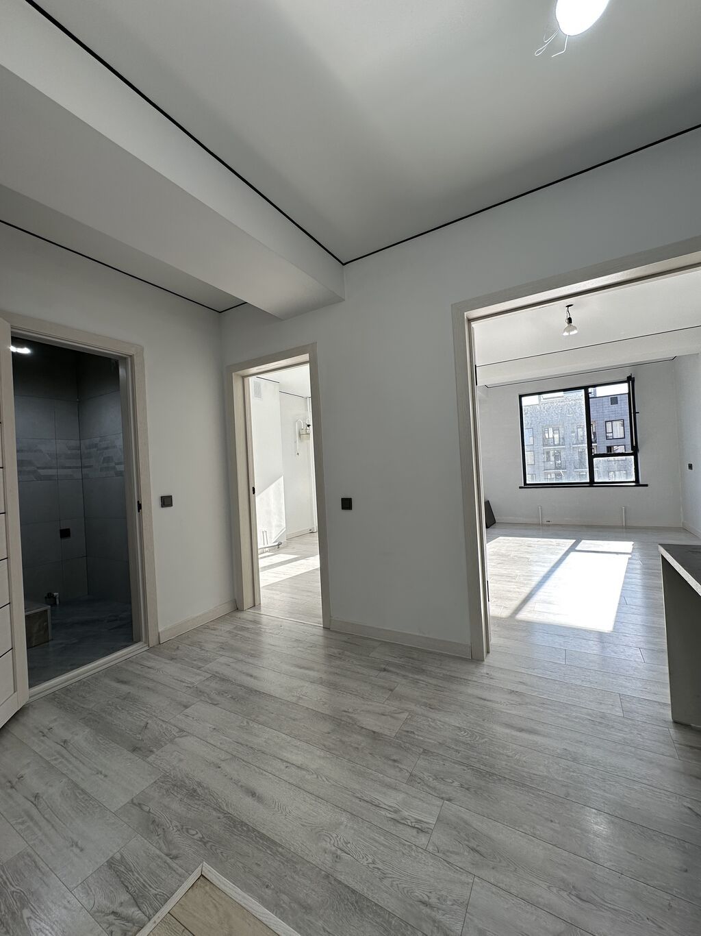 1 комната, 42 м², Элитка, Элитка, 9 этаж, Евроремонт: фото 2