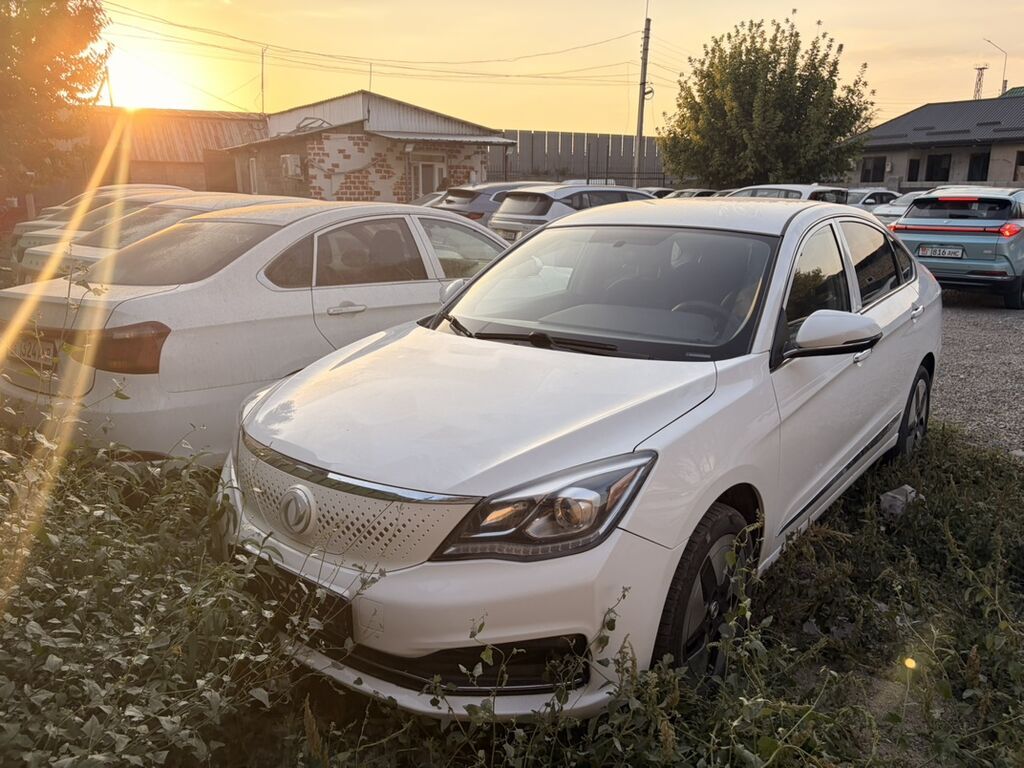 Dongfeng Aeolus Haohan