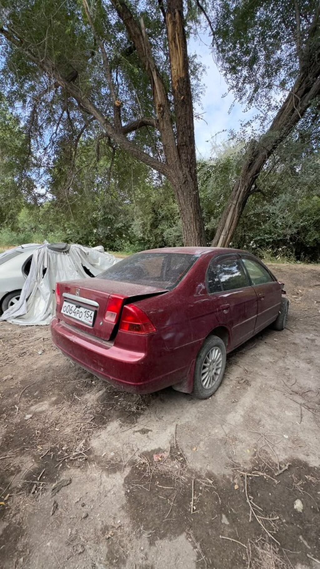 Honda Civic: 2002 г., Седан: фото 1