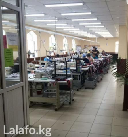 Требуются опытные швеи на автомат (Старый Толчок)