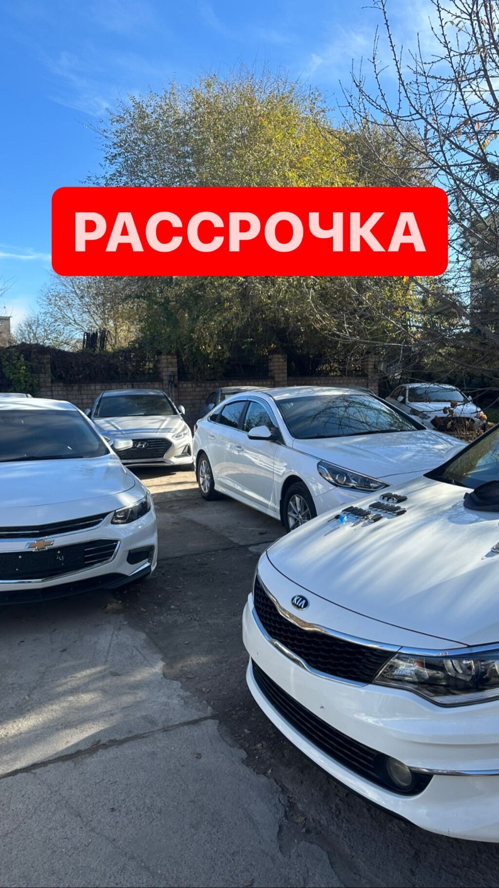 Авто в рассрочку (лизинг) через банк: 12000 USD ➤ Hyundai | Бишкек |  105505814 ᐈ lalafo.kg