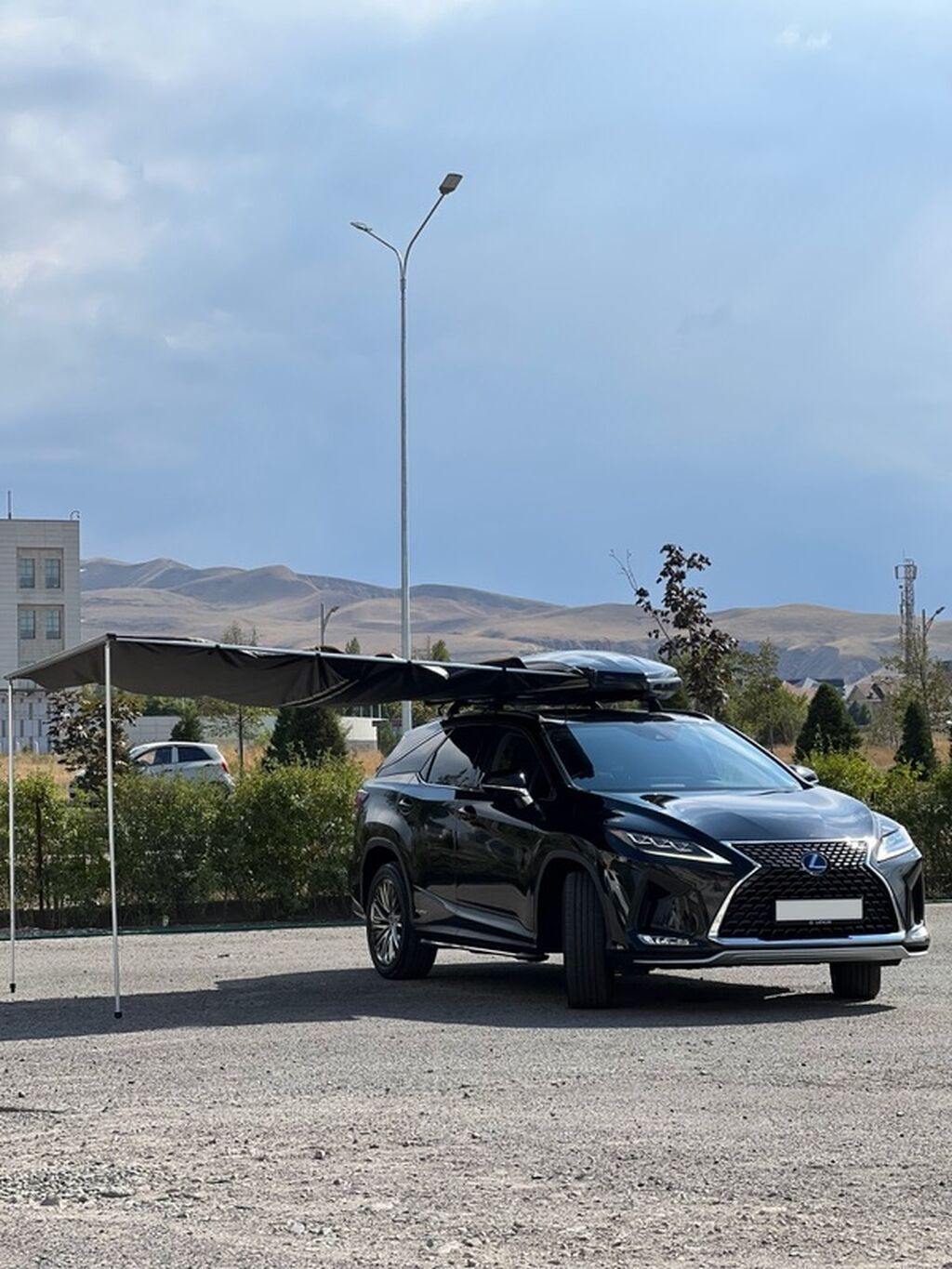 Lexus RX: 2020 г., Вариатор, Гибрид, Кроссовер: фото 2