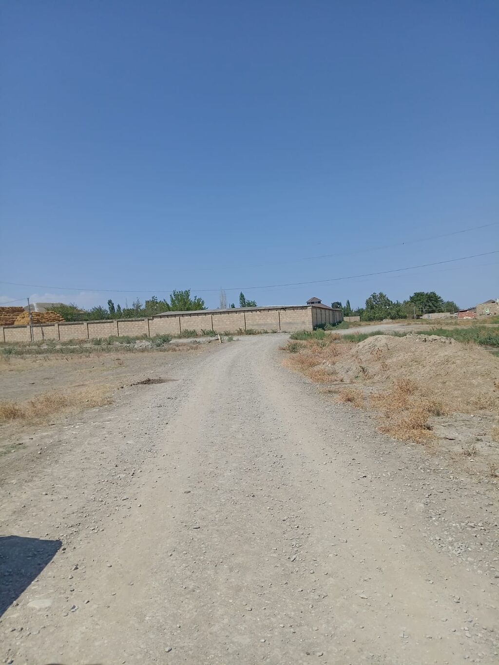 Tikinti