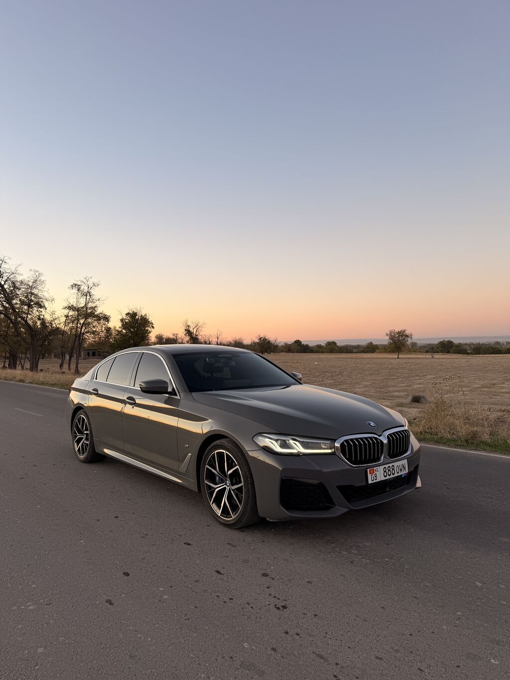 BMW 530: 2021 г., 2 л, Автомат, Бензин, Седан: фото 3