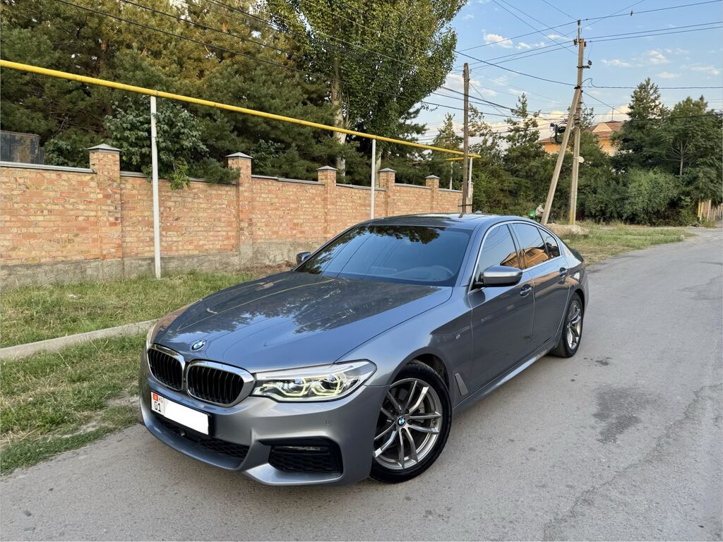 BMW 5 series: 2019 г., 2 л, Автомат, Дизель, Седан: фото 4