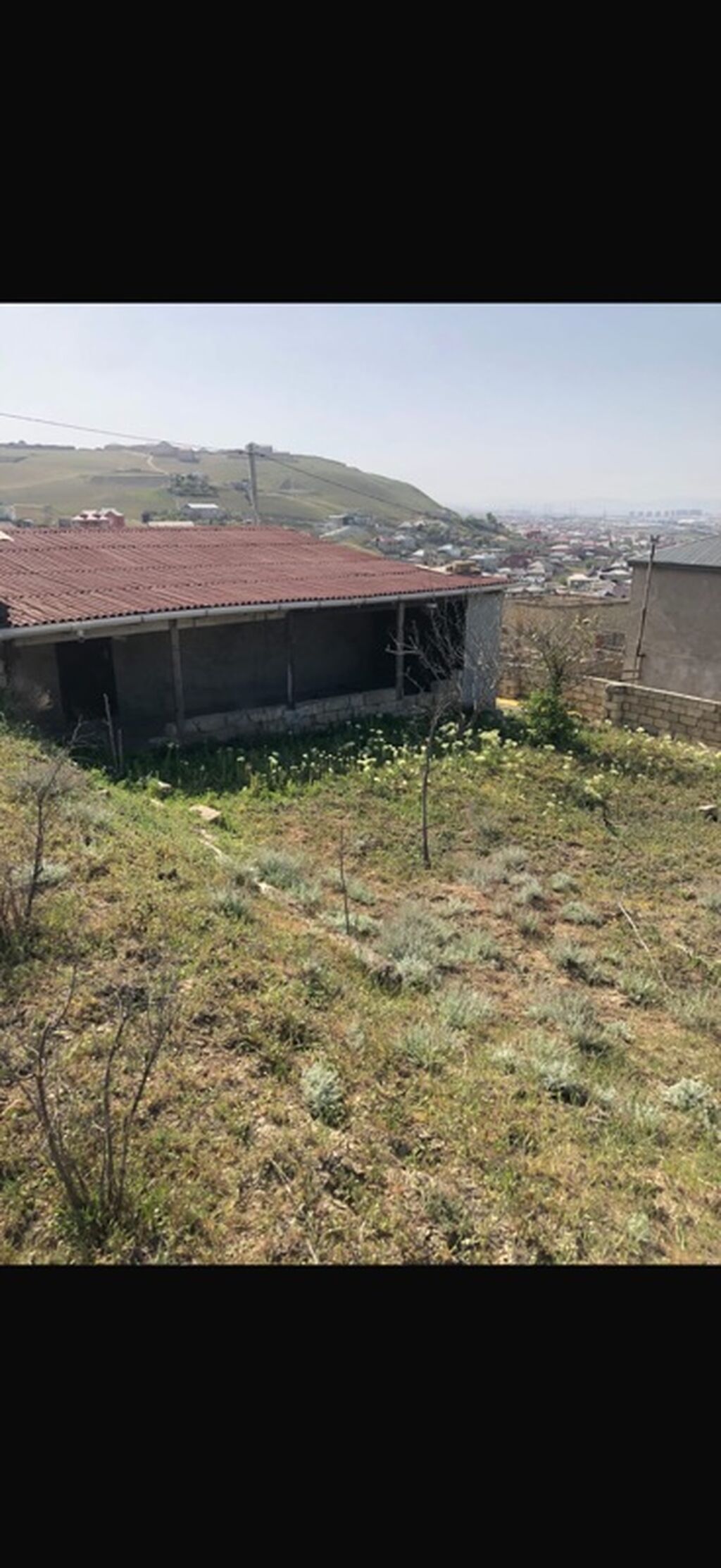 Tikinti, Bələdiyyə