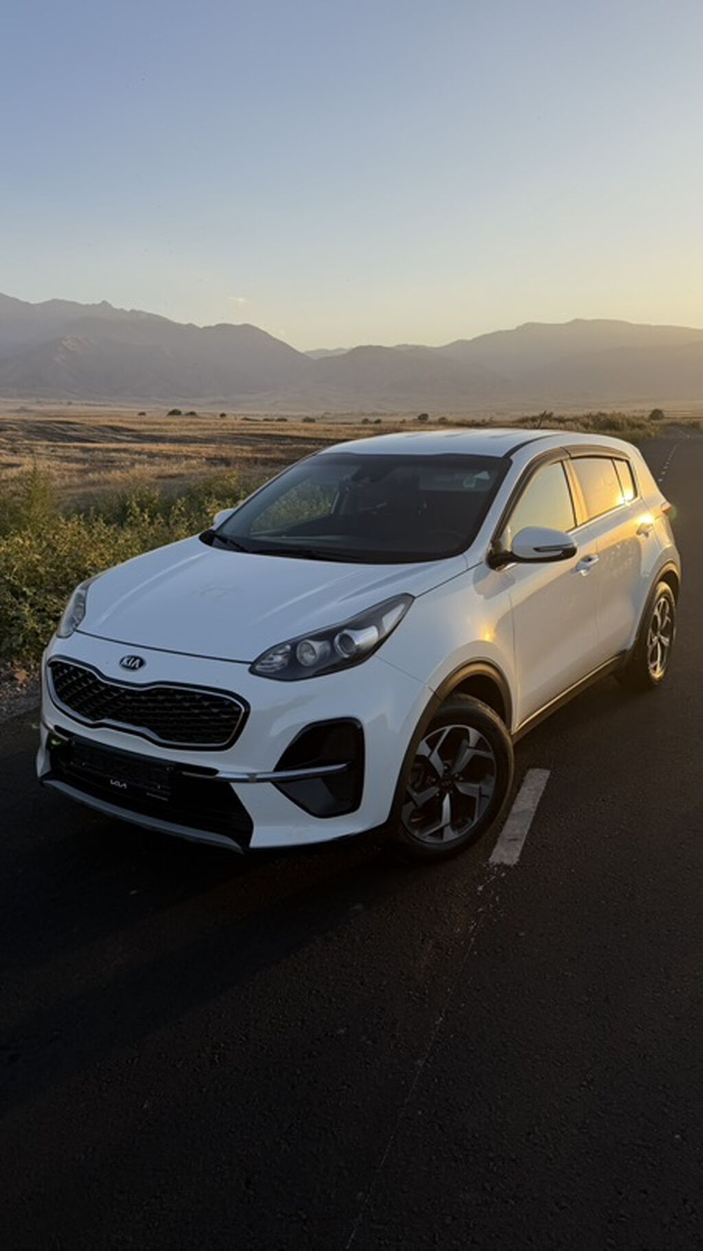 Kia Sportage: 2019 г., 2 л, Автомат, Дизель, Кроссовер: фото 3
