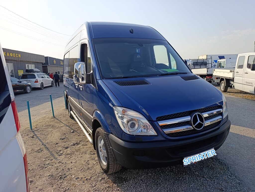 Mercedes-Benz Спринтер: 2009 г., 3 л, Автомат, Дизель, Бус: фото 8