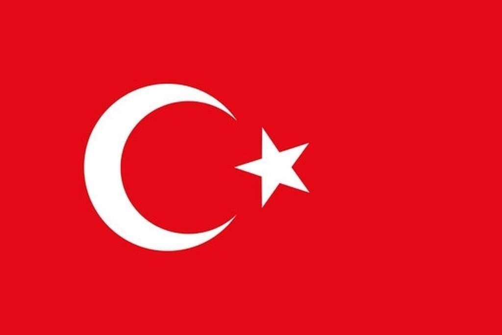 ПЕРЕВОДЧИК: Турецкий, Английский и Русский языки: Договорная ᐈ ...