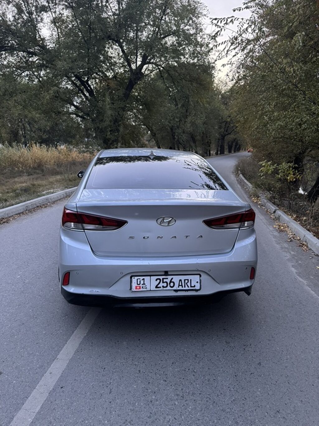Hyundai Sonata: 2018 г., 2 л, Автомат, Газ, Седан: фото 5