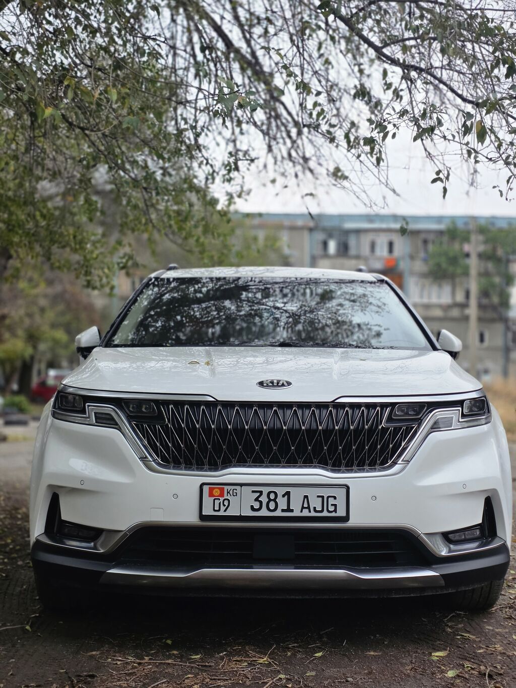 Kia Carnival: 2021 г., 2.2 л, Автомат, Дизель, Минивэн: фото 2