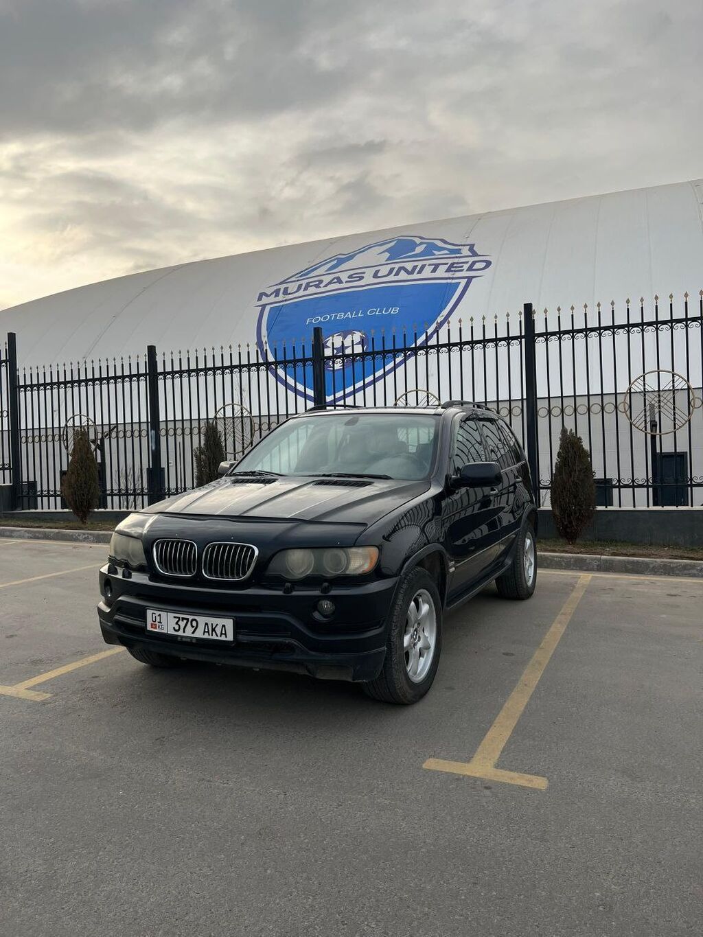 BMW X5: 2003 г., 3 л, Автомат, Дизель, Кроссовер: фото 1