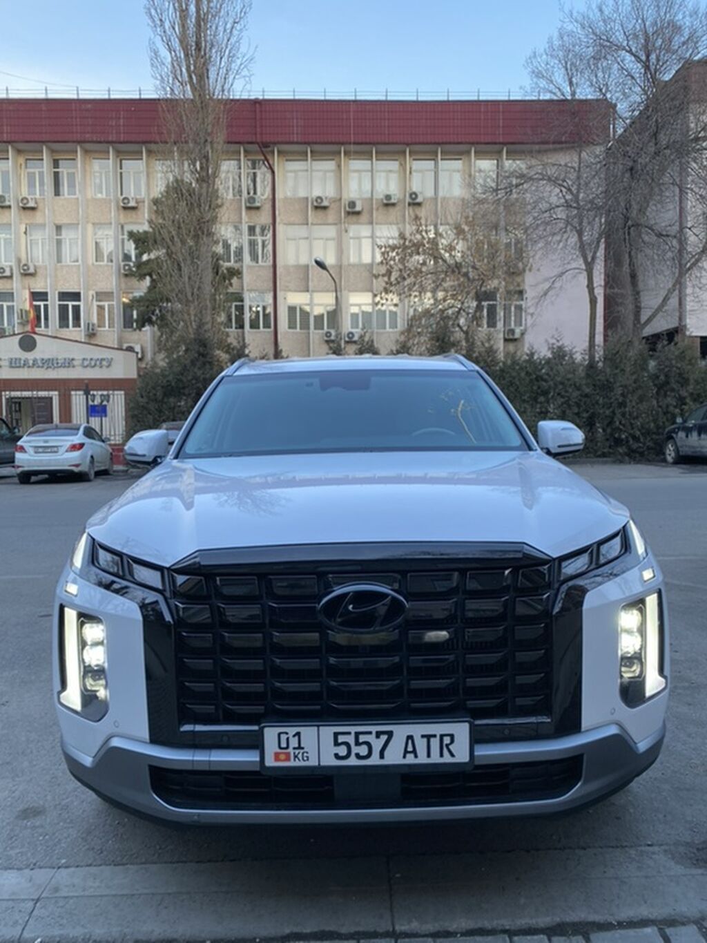 Hyundai Palisade: 2022 г., 2.2 л, Автомат, Дизель, Кроссовер: фото 7