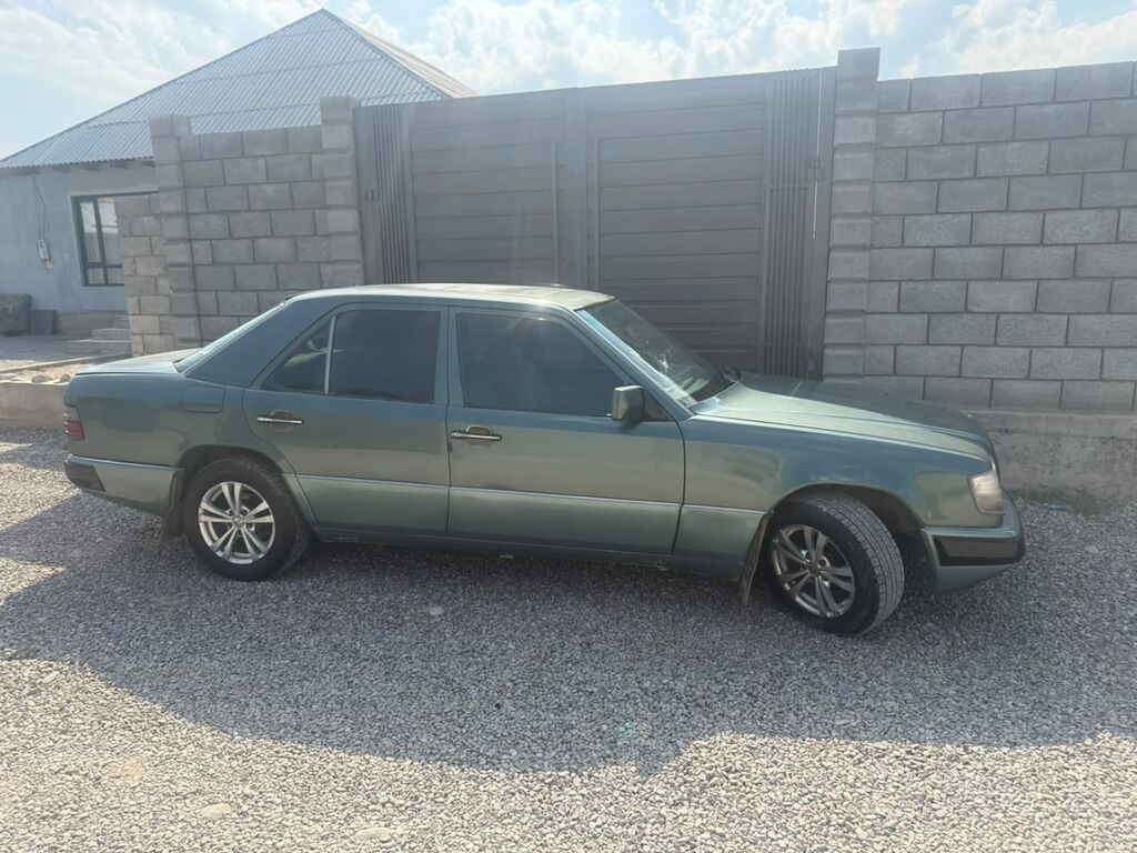 Mercedes-Benz W124: 1992 г., 2.5 л, Механика, Дизель, Седан: фото 6