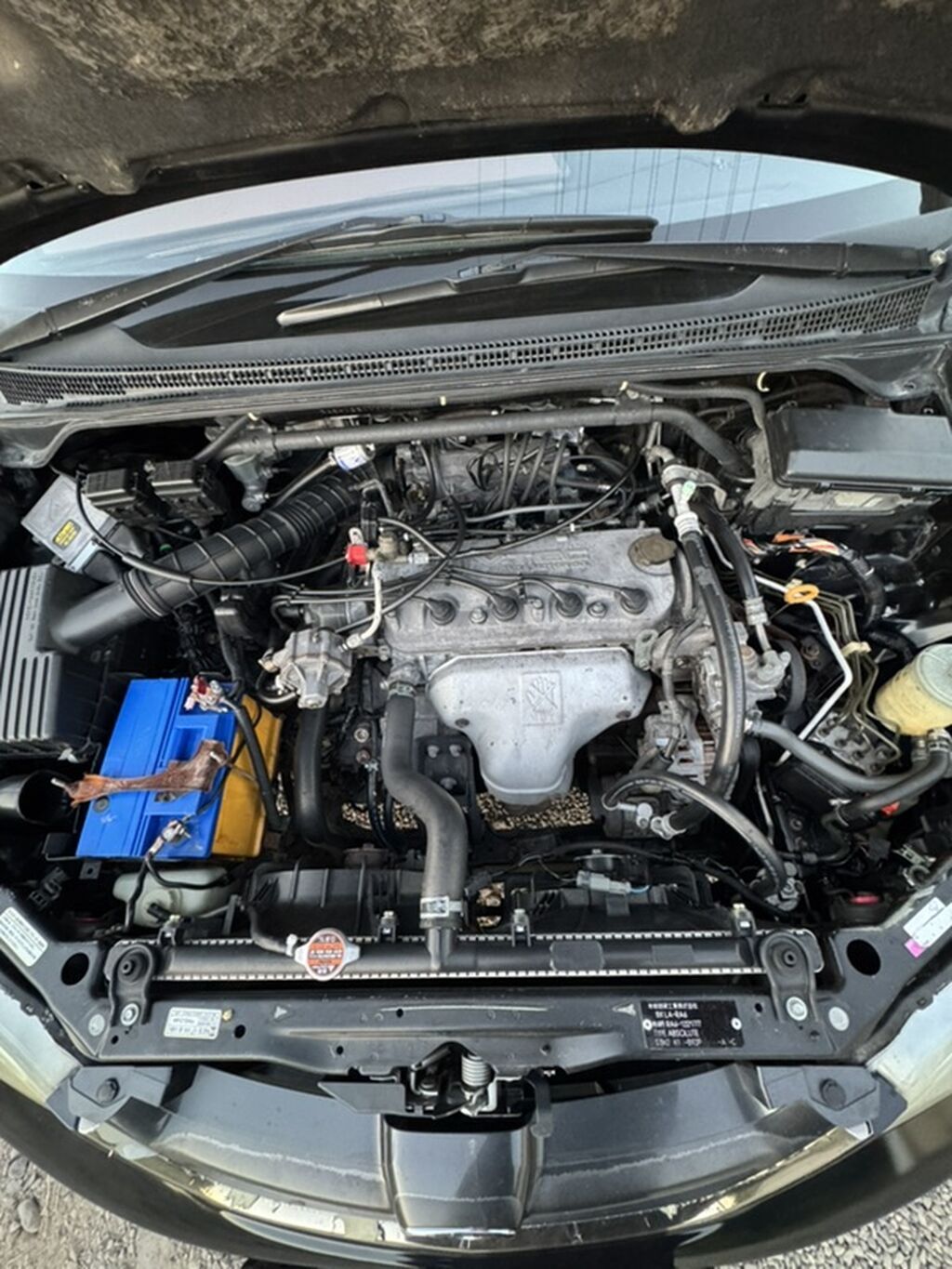 Honda Odyssey: 2002 г., 2.3 л, Автомат, Газ, Минивэн: фото 8