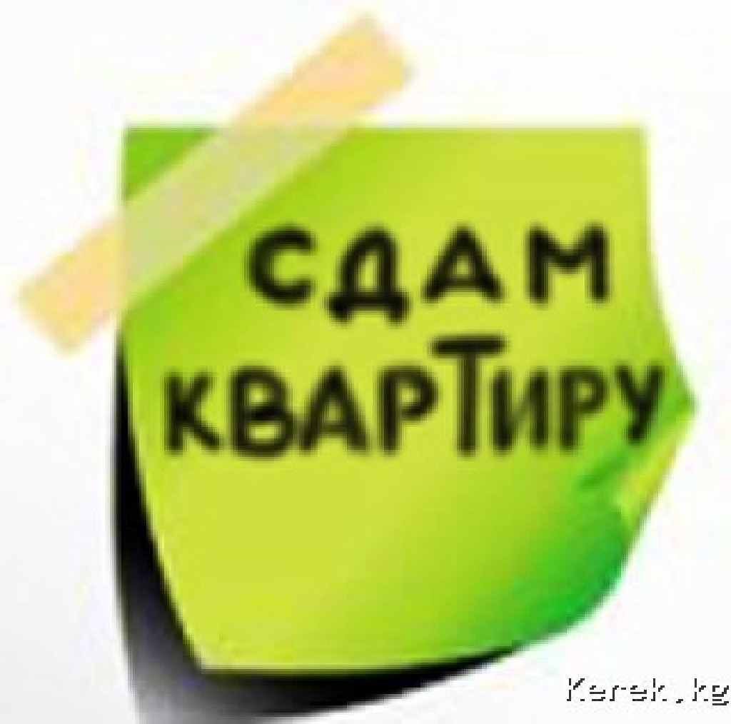 Сдам ж. Сдается квартира. Сдам квартиру. Сдается квартира картинка. Сдается квартира реклама.