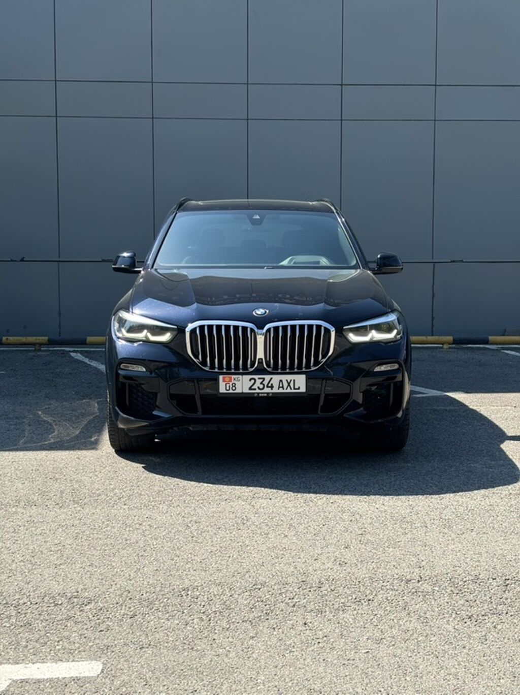BMW X5: 2019 г., 3 л, Автомат, Бензин, Кроссовер: фото 2