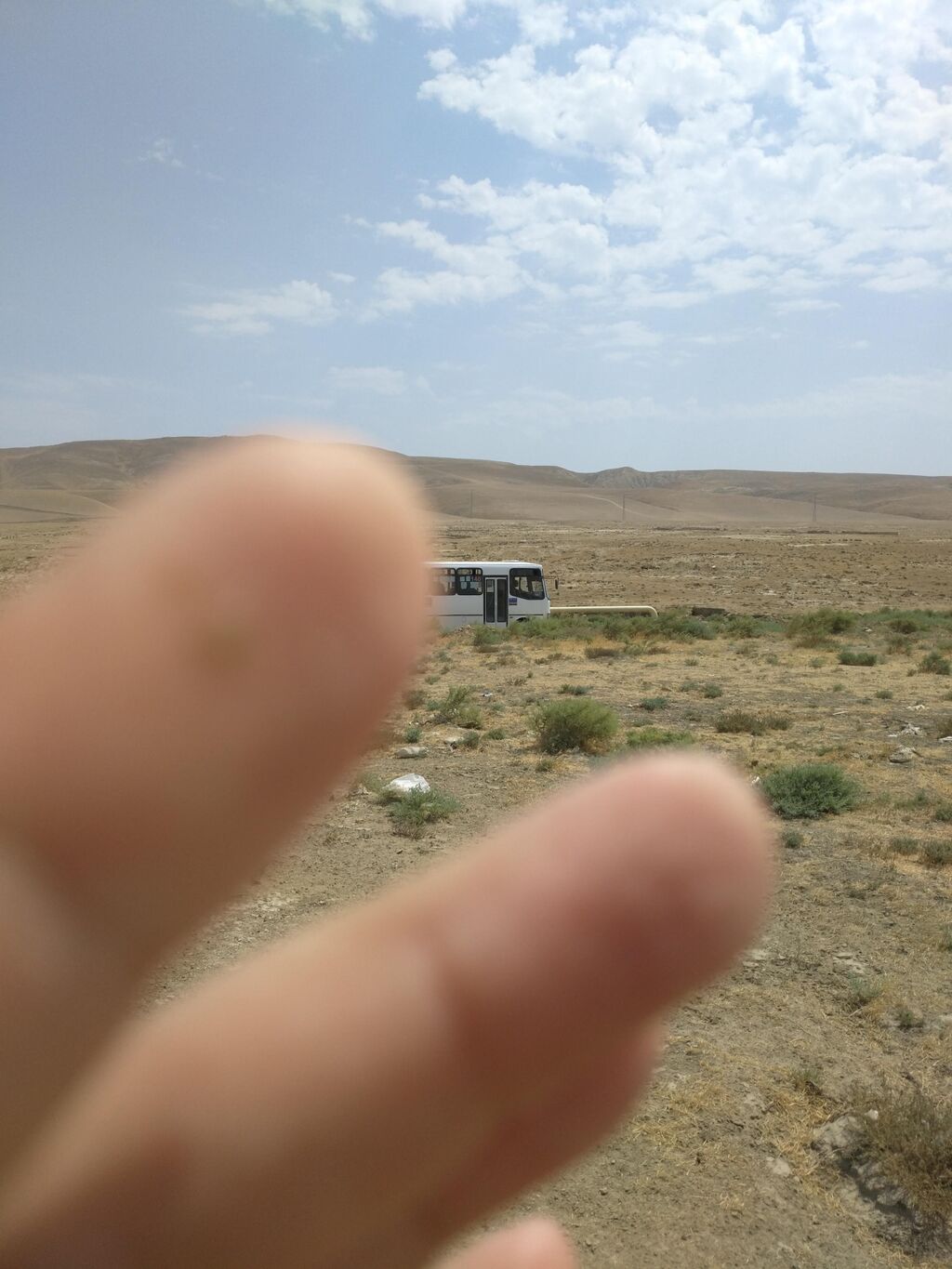 Tikinti