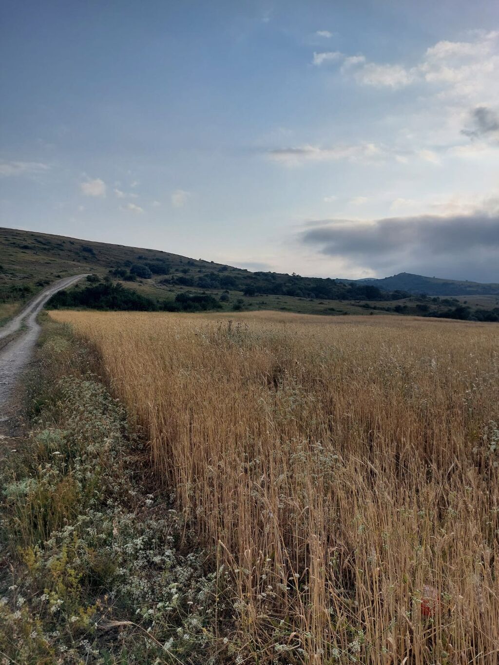 400 sot, Kənd təsərrüfatı, Mülkiyyətçi, Kupça (Çıxarış)