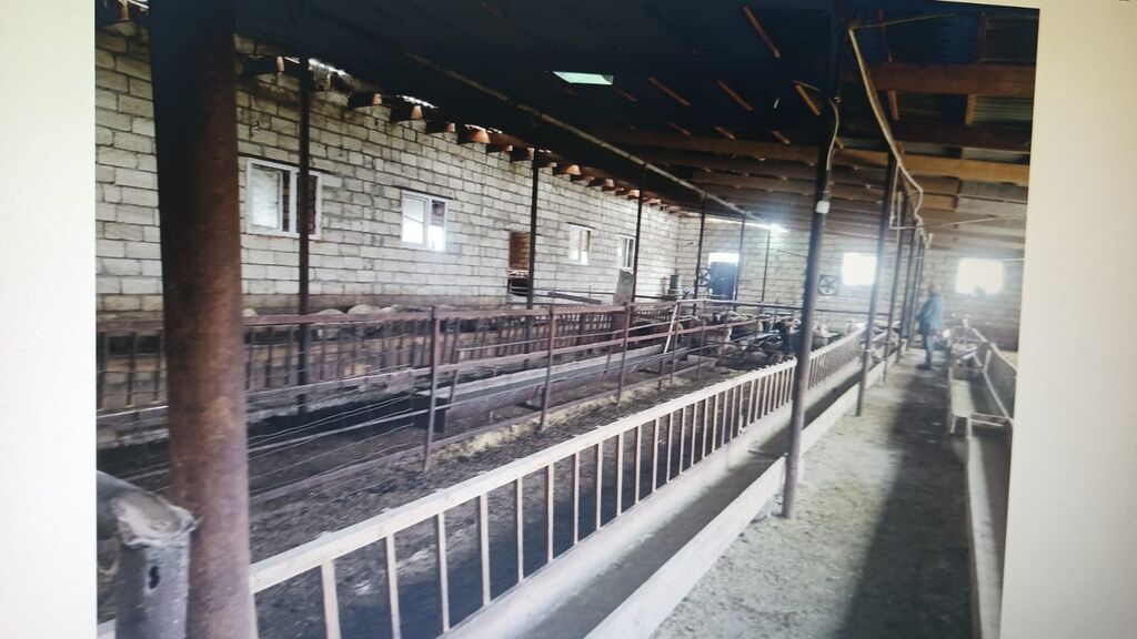 FERMA HAZIR ISTIFADEYE YARARLI HEC BIR XERC TELEB ETMIR UMUMILIKDE 4