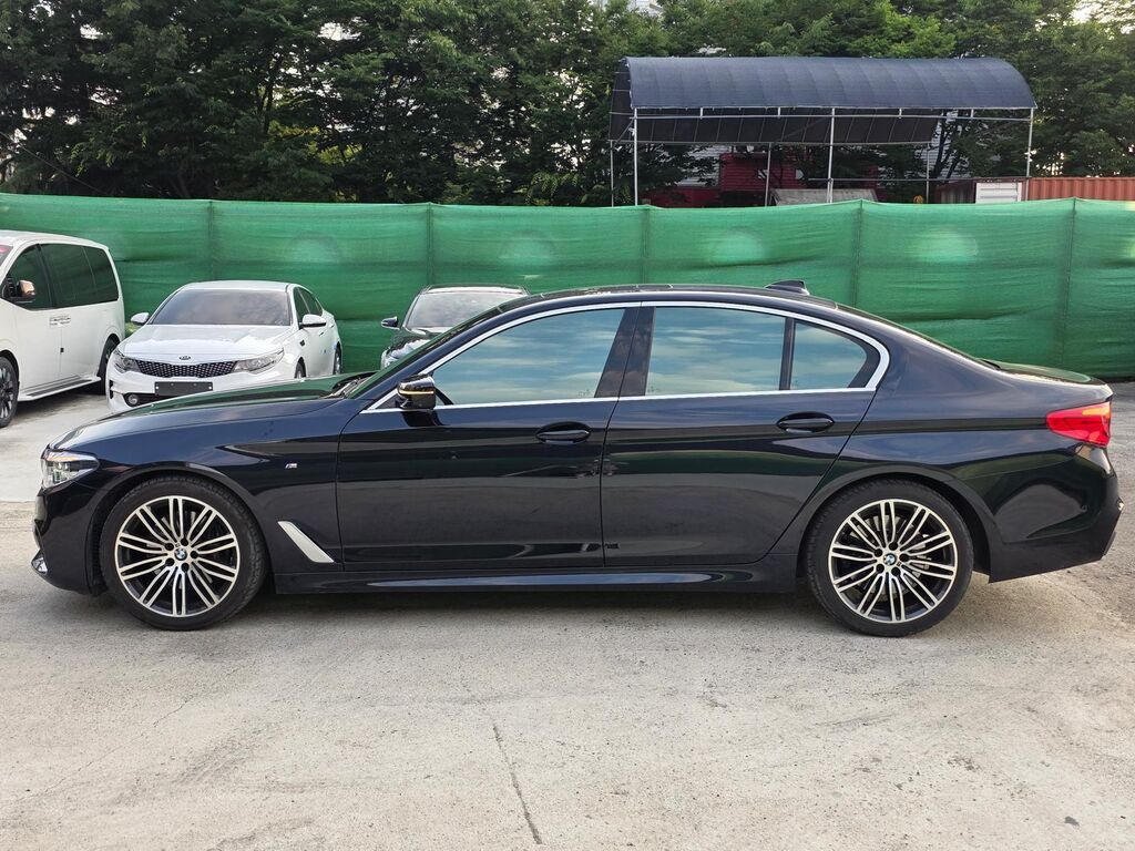 BMW 530: 2020 г., 2 л, Автомат, Бензин, Седан: фото 5
