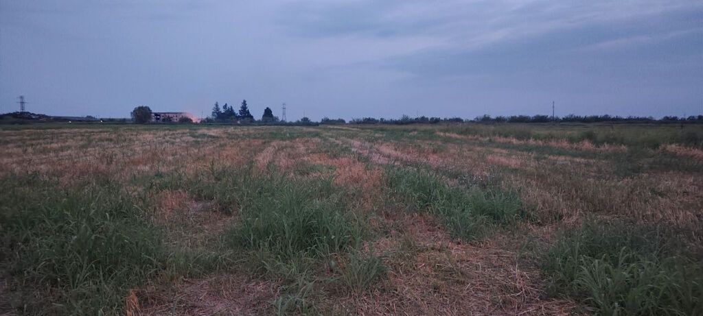 Bərdə rayon alpoud kəndi əkin sahəsi kanal qırağı torpaq Kupçalı sənəd