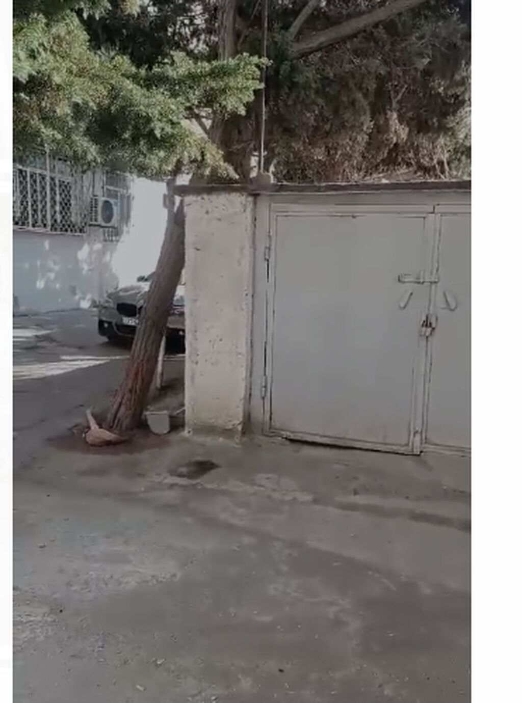 QARAJ ELMLƏRDƏ UNKLİNİKA NİN HƏYƏTİNDƏ QARAJ 150 MANAT