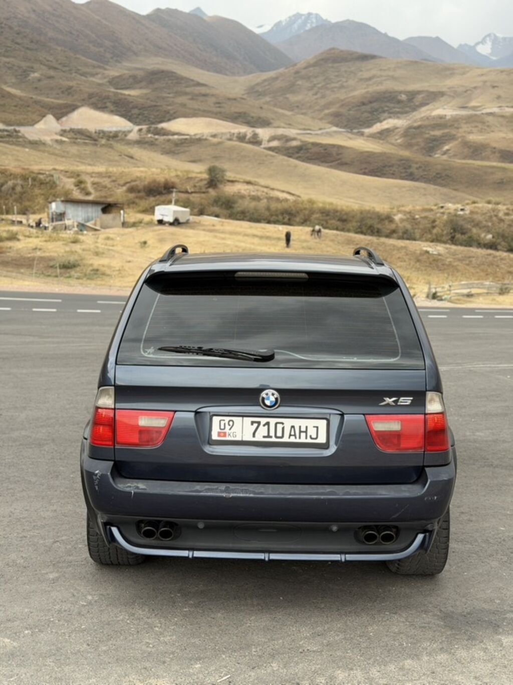 BMW X5: 2004 г., 4.4 л, Автомат, Бензин, Кроссовер: фото 3