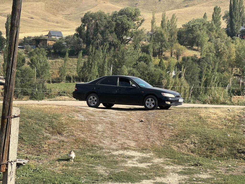 Toyota Windom