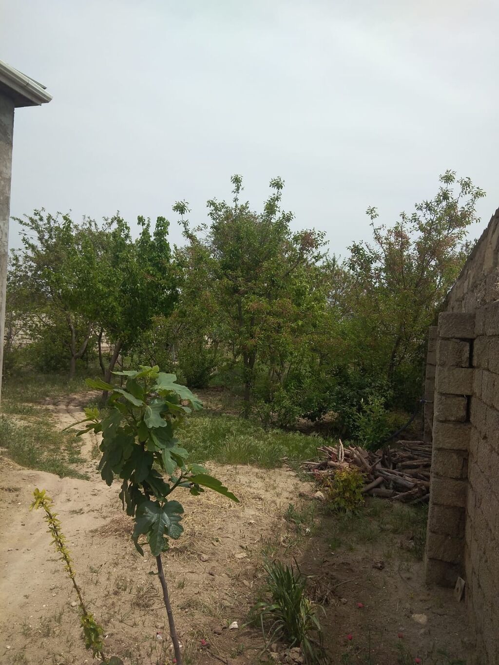 4-room house for sale in Maştağa, 130 m², 90 000 AZN, photo 3 / 5