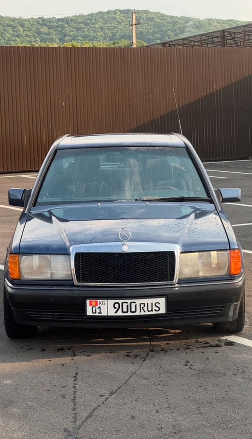 Mercedes-Benz 190: 1990 г., 4.3 л, Автомат, Бензин, Седан: фото 5