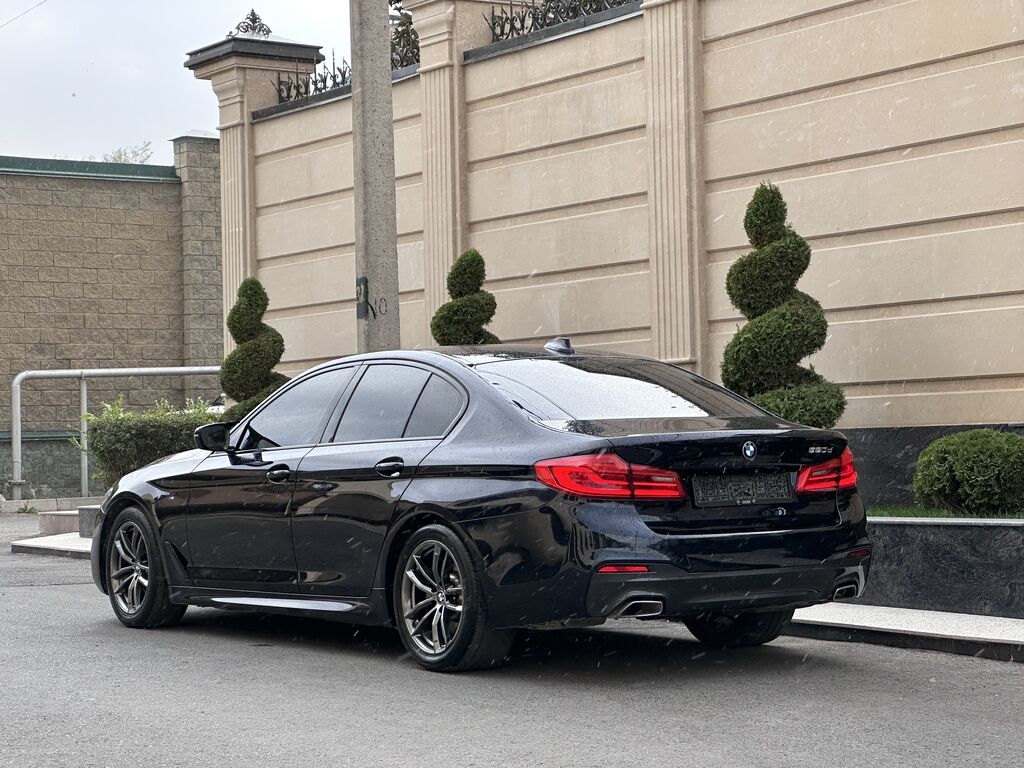 BMW 520: 2020 г., 2 л, Автомат, Дизель, Седан: фото 6