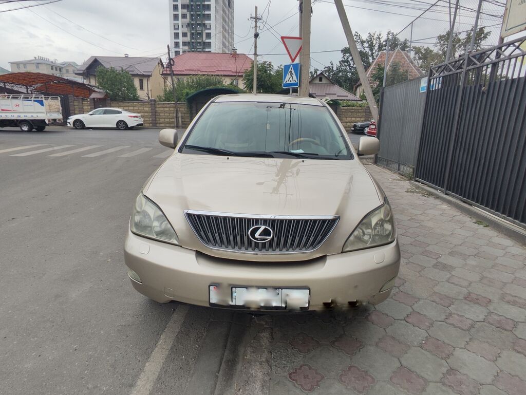 Lexus RX: 2004 г., 3.3 л, Автомат, Бензин, Кроссовер: фото 8