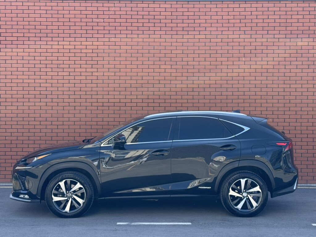 Lexus NX: 2019 г., 2.5 л, Вариатор, Гибрид, Кроссовер: фото 8