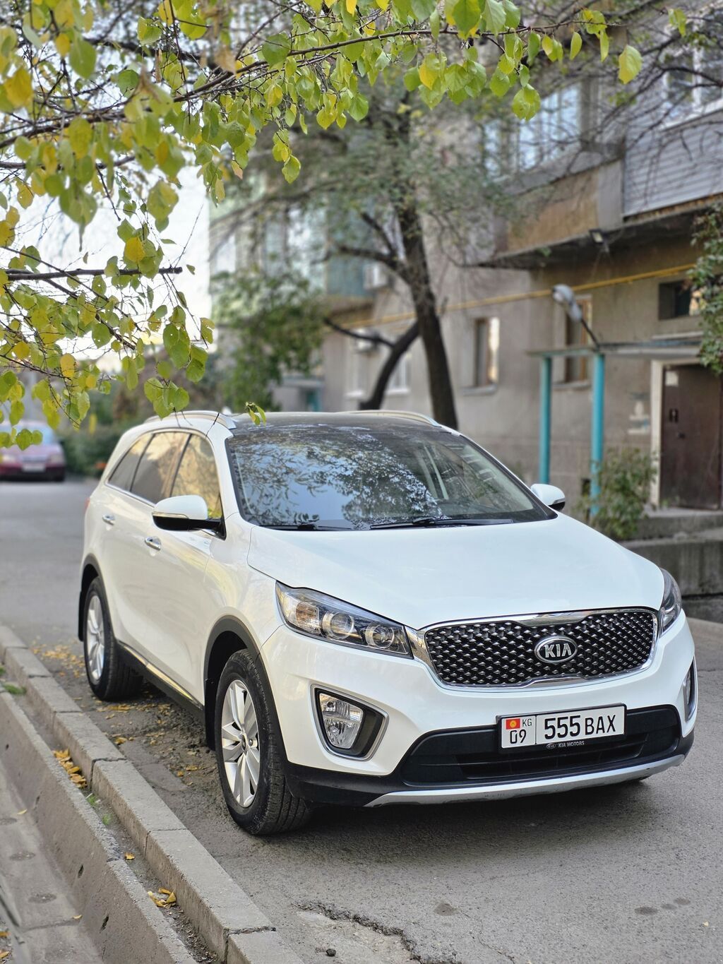 Kia Sorento: 2016 г., 2.2 л, Автомат, Дизель, Кроссовер: фото 3