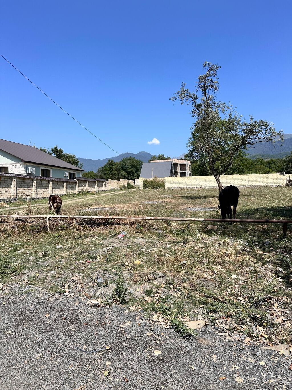 10 sot, Tikinti, Kupça (Çıxarış)